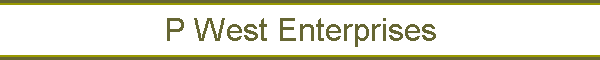 P West Enterprises